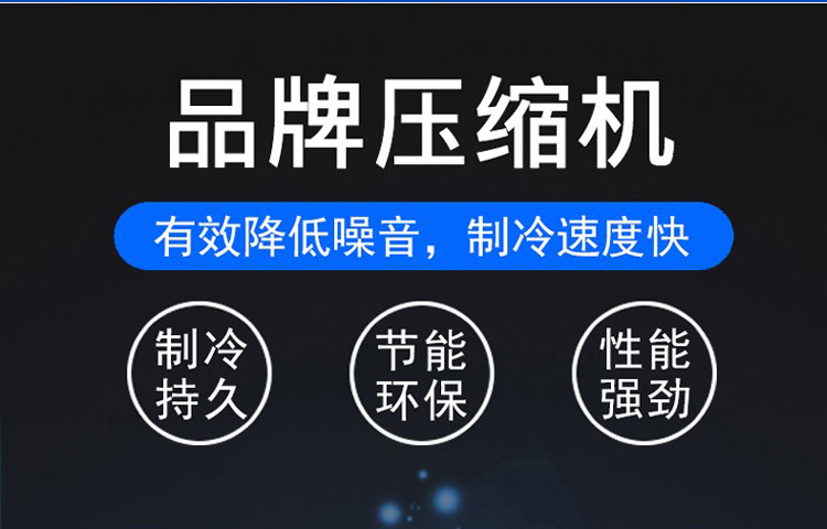 500公斤超市海鲜店片冰机